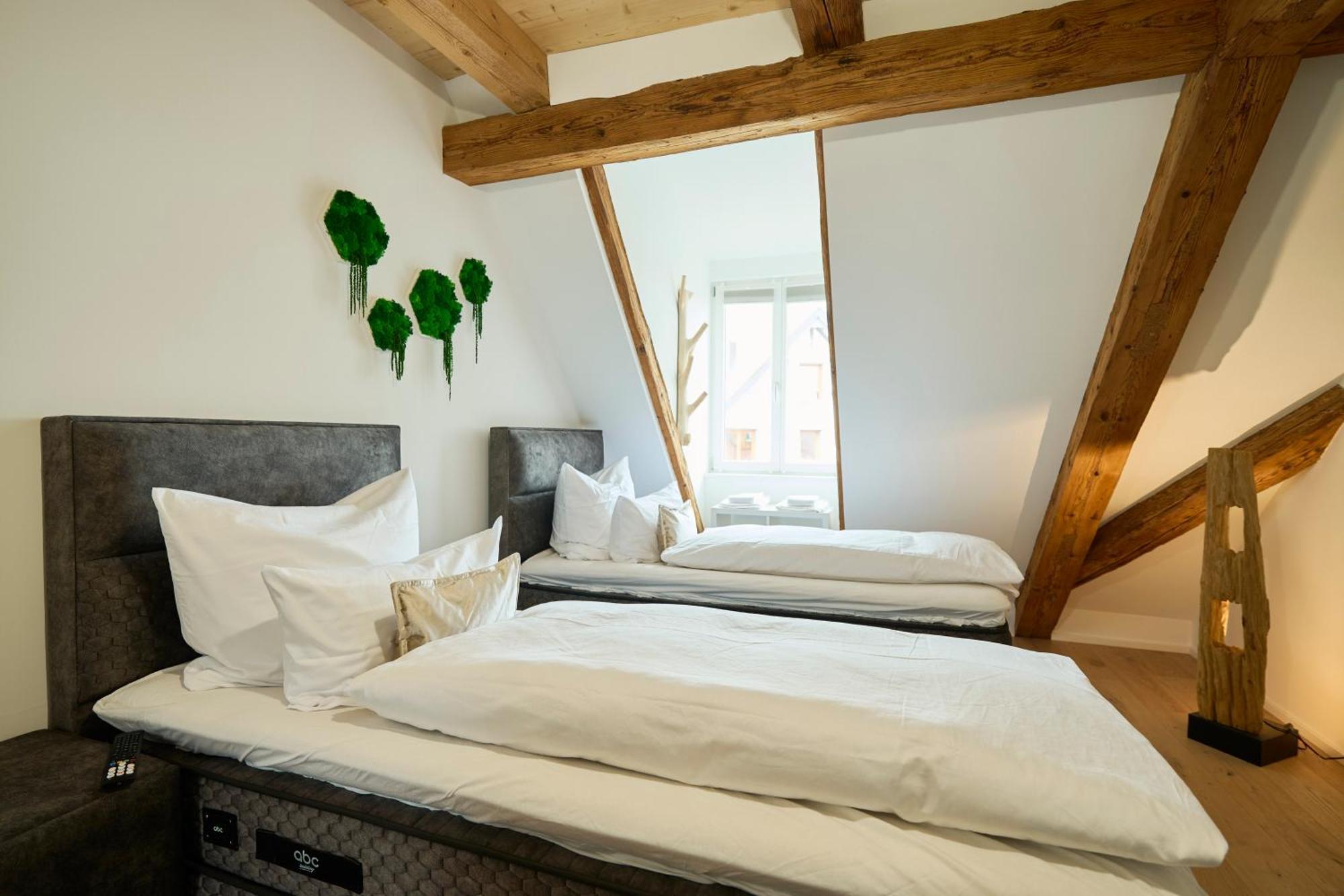 Wood World Luxury - Massage - Bergblick - Tranpolin- Parken Apartamento Markdorf Exterior foto