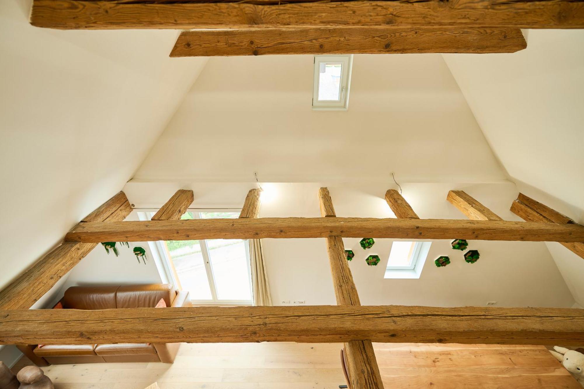 Wood World Luxury - Massage - Bergblick - Tranpolin- Parken Apartamento Markdorf Exterior foto